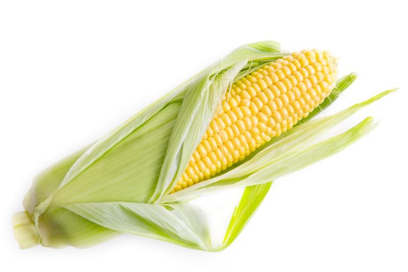 Sayuran Jagung Manis Grade A