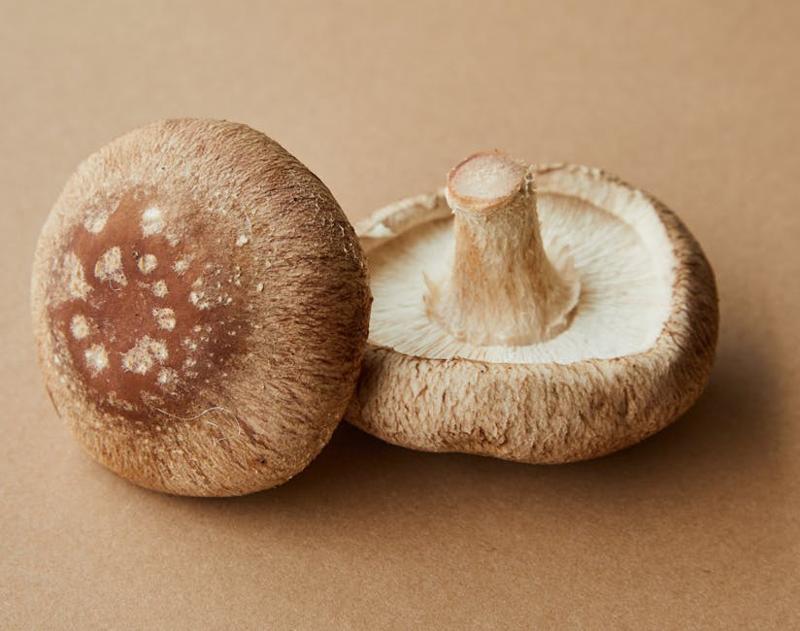 Sayuran Jamur Shiitake Grade A